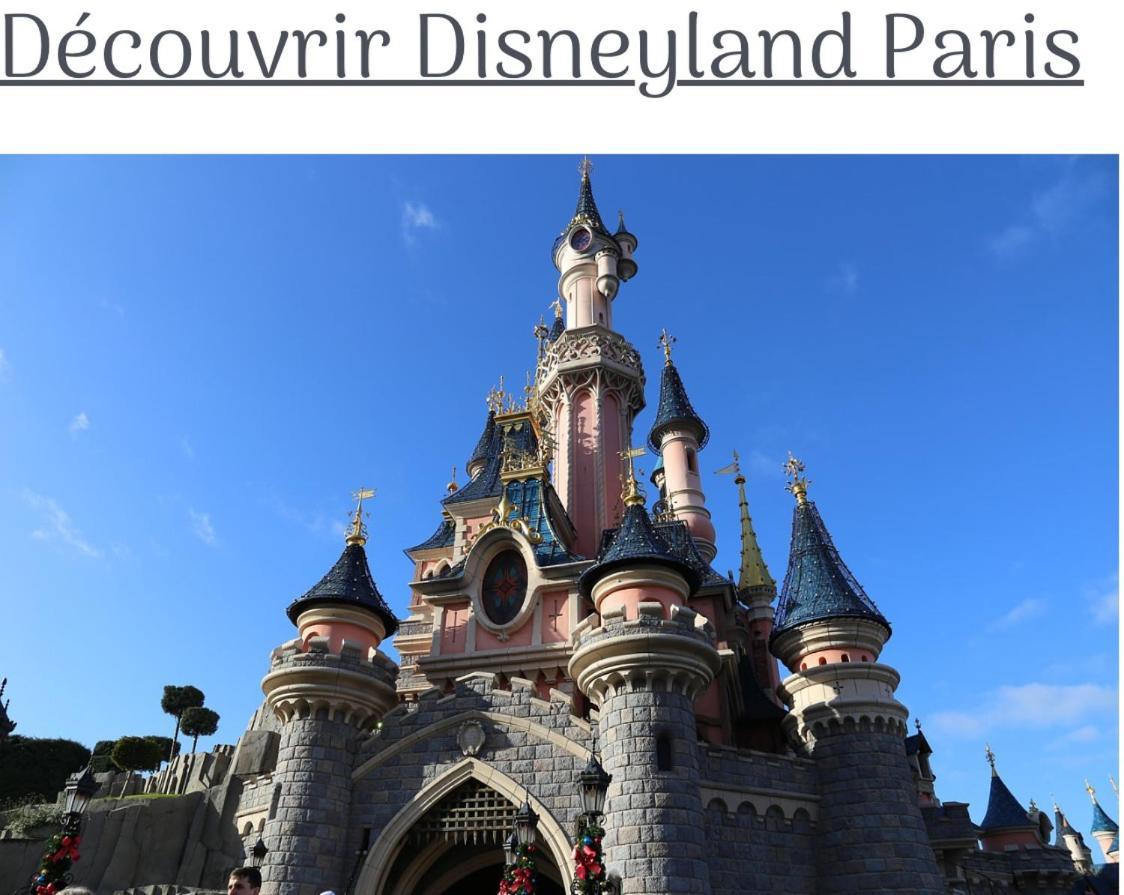 Proche Paris Et Disney-Calme Absolu Vaires-sur-Marne Екстер'єр фото